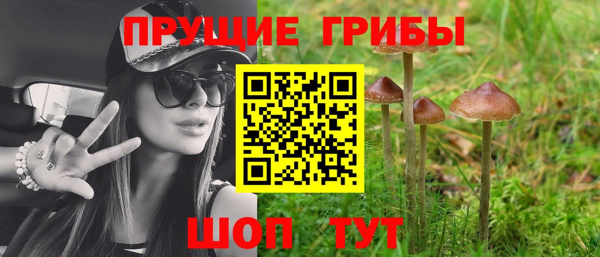 где найти наркотики  Галлюциногенные грибы Psilocybe  Галлюциногенные грибы мухоморы  Вход с VPN  Гусиноозёрск 